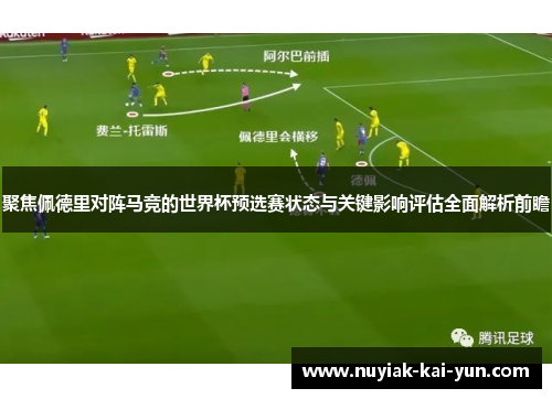 聚焦佩德里对阵马竞的世界杯预选赛状态与关键影响评估全面解析前瞻