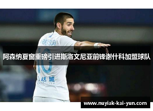 阿森纳夏窗重磅引进斯洛文尼亚前锋谢什科加盟球队